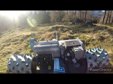 Mulchen mit Brielmaier