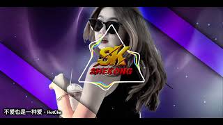 Download lagu 不爱也是一种爱 - HotCha | DJ Remix 2k26 | MKJERRY  mp3