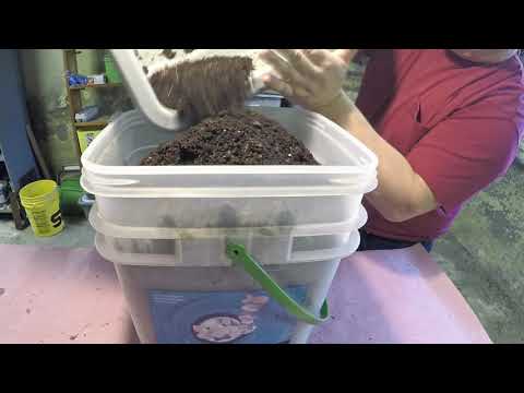 Horizontal Migration Success and Worm Relocation