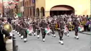 preview picture of video 'Raduno Alpini a Castel San Pietro Terme 2013. (5) La Sfilata, seconda parte.'