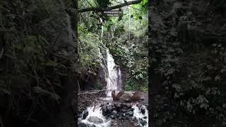 Download lagu Gunung Guntur Via Curug Citiis.#shorts #viralshorts mp3