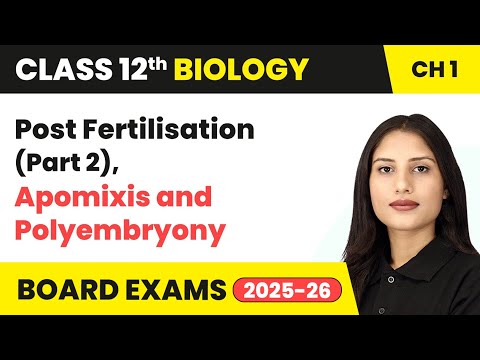 Class 12 Biology Book Overview Complete Strategy Syllabus Overview for Session 2024 25 NCERT