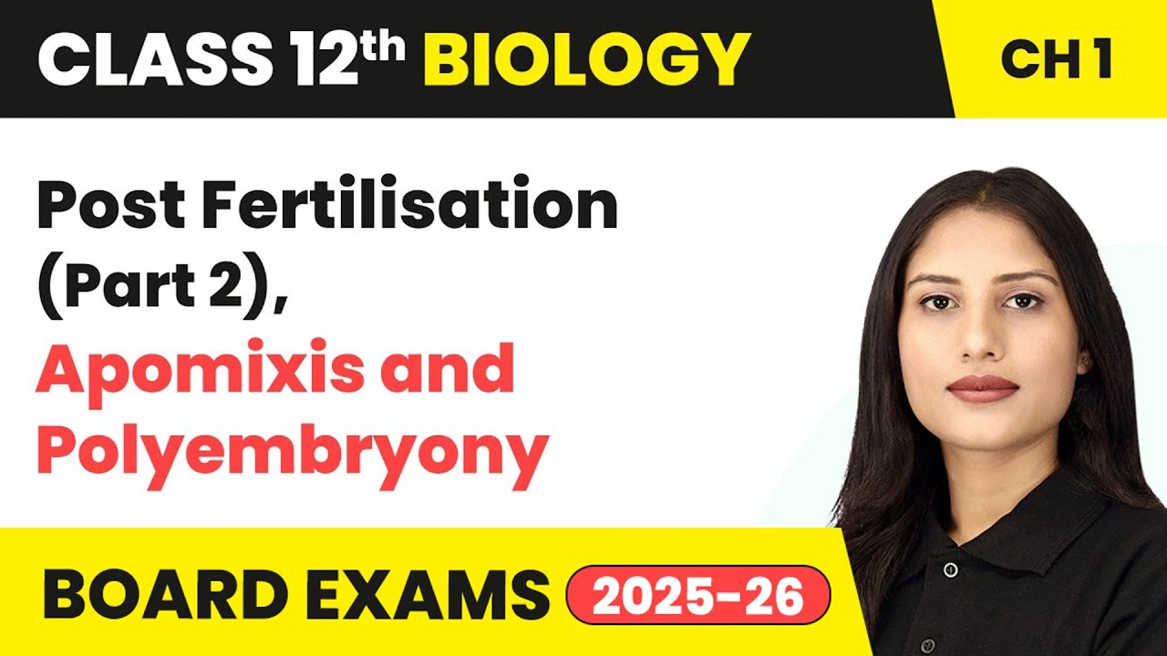 Post Fertilisation (Part 2), Apomixis and Polyembryony | Class 12 Biology Chapter 1 | CBSE 2024-25