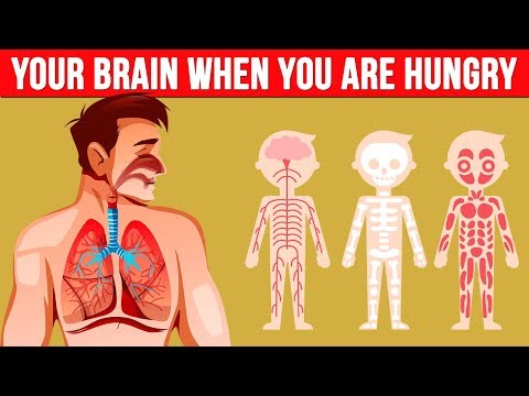 What Happens To Your Brain When You Get Hungry?