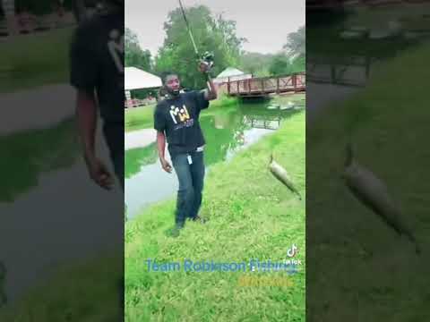 BassPro TreCat  (HookSet )