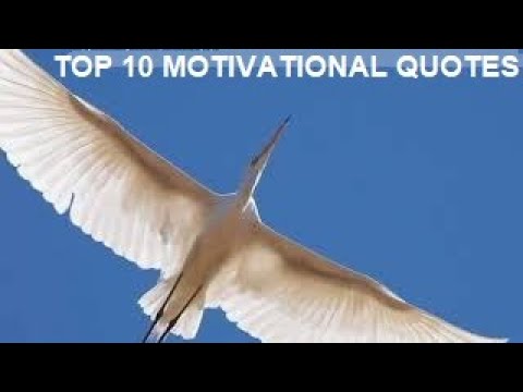 Motivational Quotes & Quotations