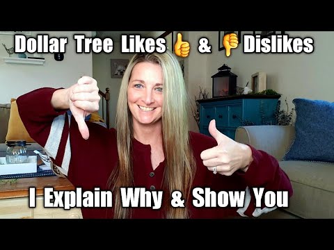 10 Dollar Tree Items I LIKE & DISLIKE/ Let me Explain & Show You Why