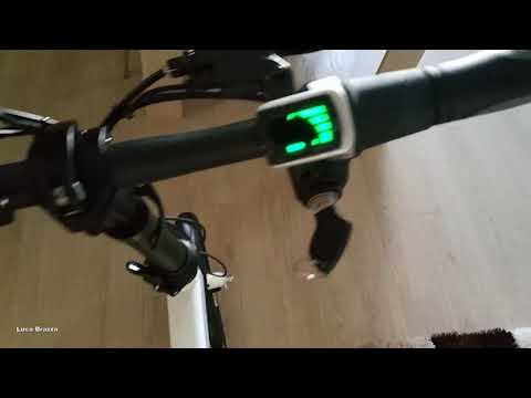 FIIDO D1 EL-CYKEL. FÖR TRADERA AUKTION.