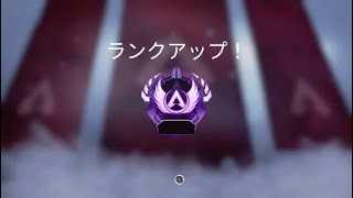 APEX 初ソロマス達成