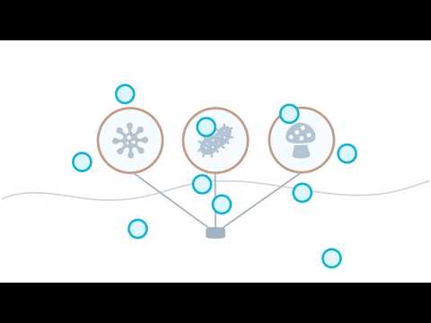 Natural Sanitisation video.