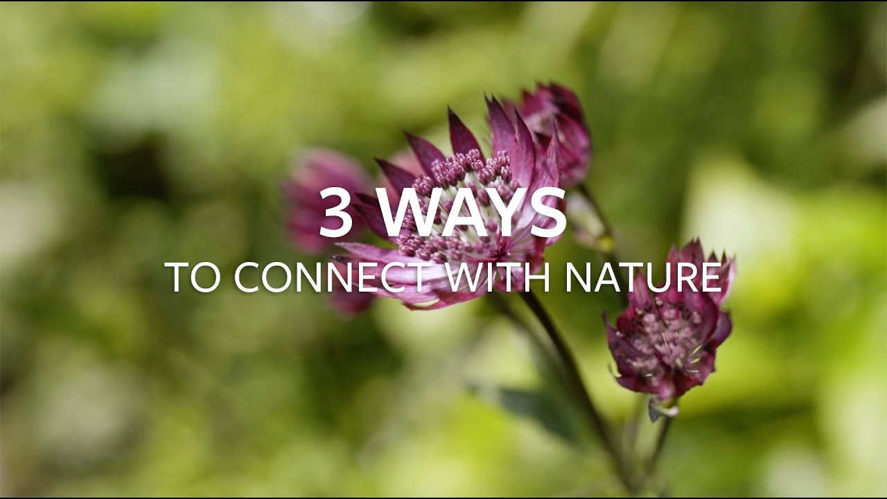 3 ways to connect with nature