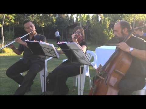 Musica para tu boda en Alicante y Murcia