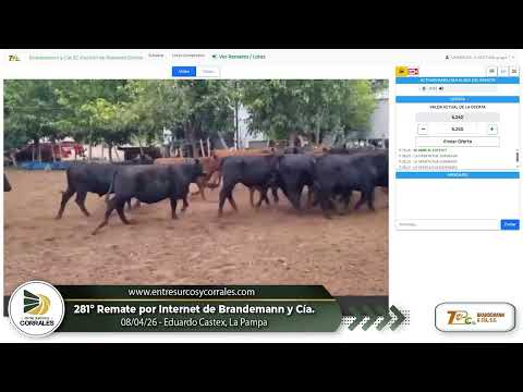 08-04-26 - 281º Remate por Internet de Brandemann y Cía. - Eduardo Castex, La Pampa