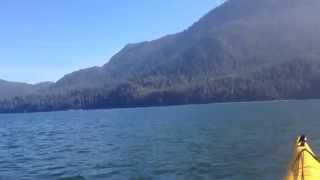 preview picture of video 'Kayaking the Clayoquot Sound with Tofino Sea Kayaking Company'