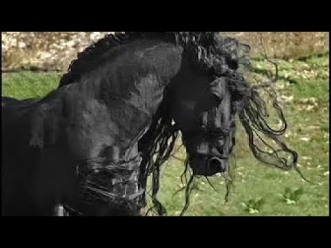 Spanish Guitar - Best Hits Vol.2