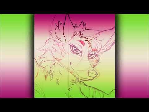 Spott - Bird's Got Talent