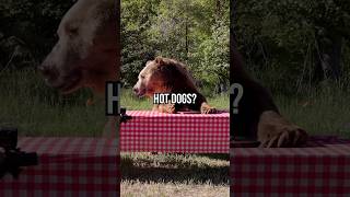 Download lagu grizzly bear vs professional eater: who eats more? mp3