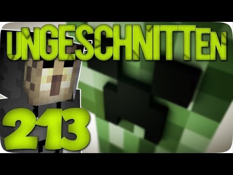 MR. GALAXY | "Ungeschnitten" Minecraft Survival Games #213 [AnyArtLP | Facecam]