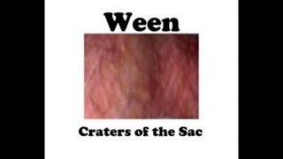 Ween  - Put The Coke On My Dick  (Craters of the Sac)