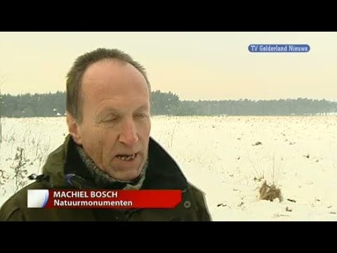 GLD Nieuws 29 december 2010 - Nieuws