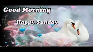 Happy Sunday Status,Happy Sunday Whatsapp Status Video,Happy Sunday Wishes,Happy Sunday Greetings