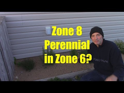 download lagu mp3 mp4 Winter Zone, download lagu Winter Zone gratis, unduh video klip Winter Zone