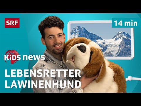 SRF Kids News: Lawinen-Alarm: Wie Lawinenhunde Leben retten | Nachrichten für Kinder