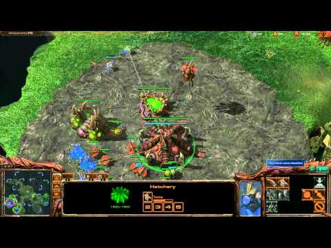 Destiny, Bluetea vs. sPsMaveN (P), sPsAyrie (P) - High Level 2v2