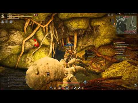 Hidden BDO: Spider Cave
