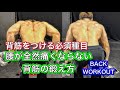 腰が絶対に痛くならないベントオーバーロウ[Dumbbell Back Workout]
