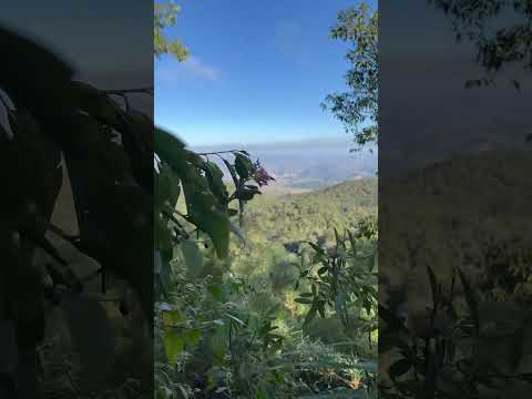Trilha da Pedra do Rio Manso