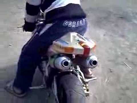 sandu nebunu' din corabia