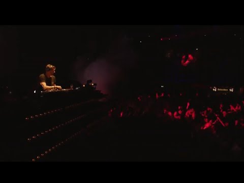 Yotto - Owls (Amsterdam)