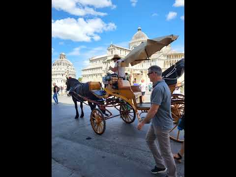 leaning tower of (pisa) is a must visit place in italy