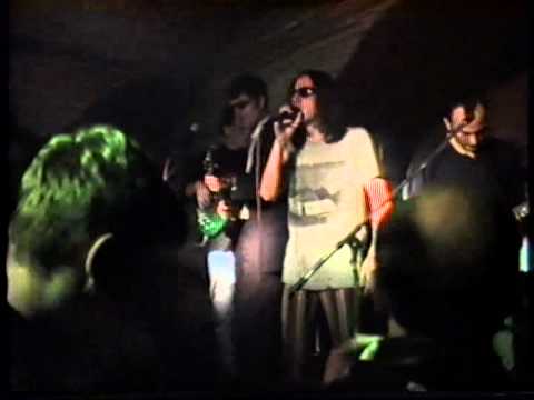 Elvis J Kurtović-  live SPOK - Prokleta je Amerika