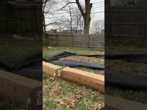 Review video 1 Review video 1