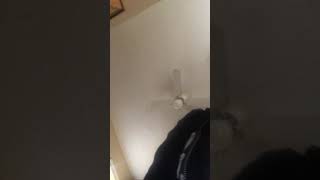 Ride or die by brown boy