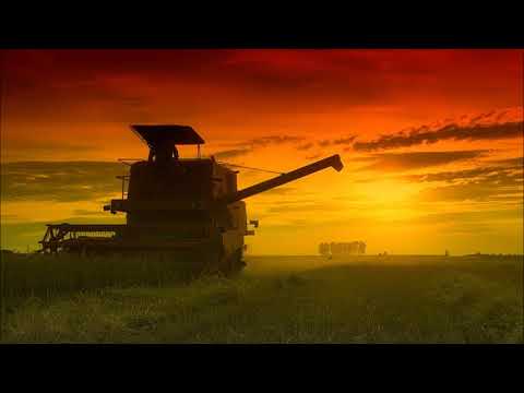 Wały Jagiellońskie  - Kombajn Bizon cover