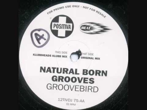 Natural Born Grooves - Groovebird (Klubbheadz Klubb Mix).wmv