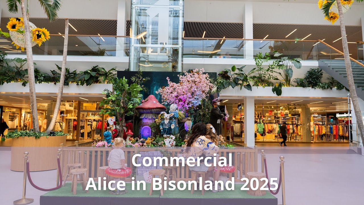 Alice in Bisonland