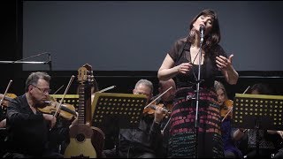 Georgina Hassan con la Orquesta de Cámara Municipal de Rosario - Volver a los 17 (Violeta Parra)