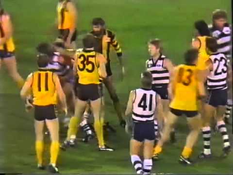 1988 VFL Panasonic Cup Grand Final - Geelong v Hawthorn