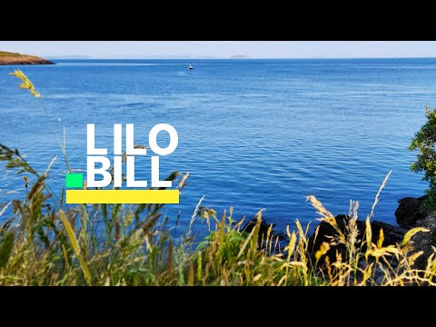 The Archives: BT - Flaming June (Chicane Remix) [trance]