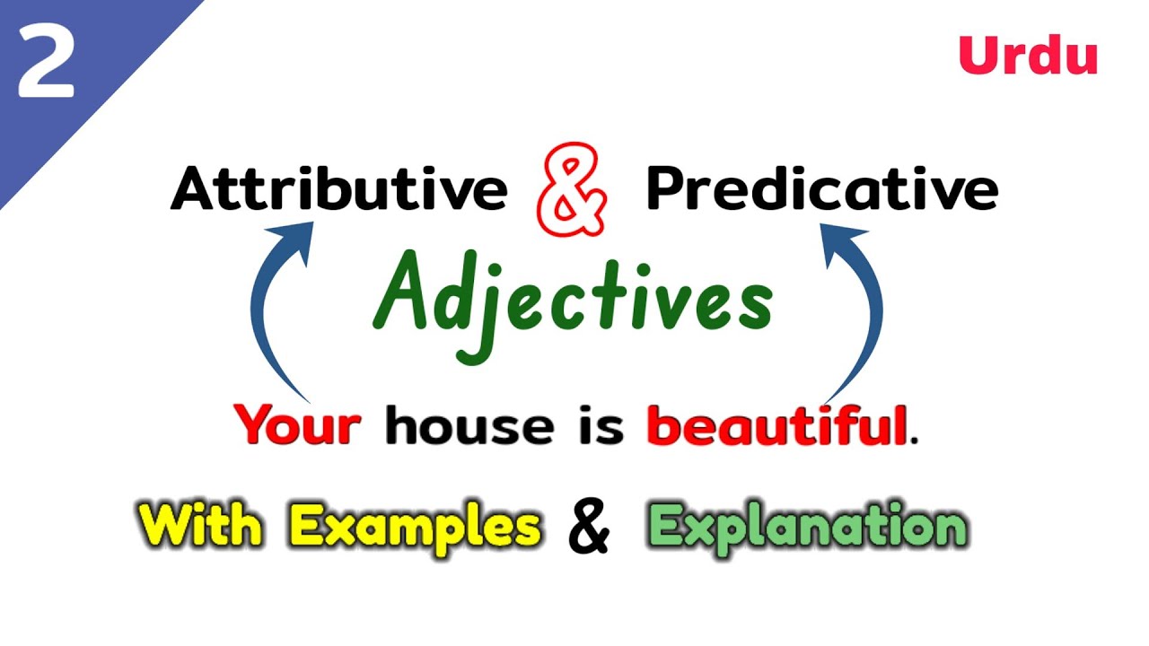 Adjective - Attributive and predicative adjectives | Predicative and attributive adjectives |