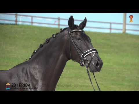 20 Frida v. Floriscount - Rohdiamant  *MARBACHER WOCHENENDE 2020*