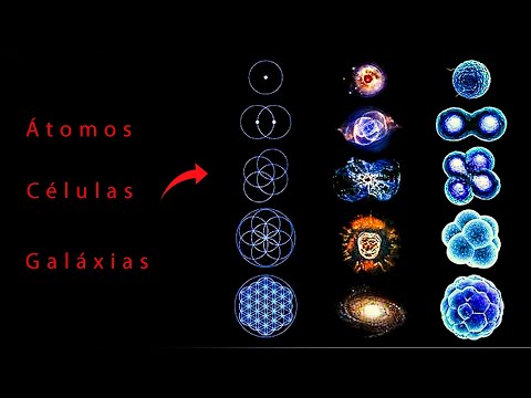 A Flor da Vida: Há uma Inteligência no Universo Irrefutável - Geometria Sagrada