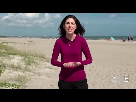 WRTV News at 5:30 p.m. - November 25, 2020