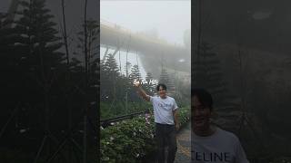 다낭 바나힐 날씨 모르고 가면.. #다낭