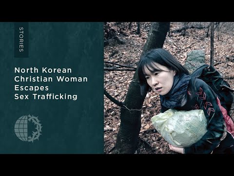 Witness21  2022 11 15