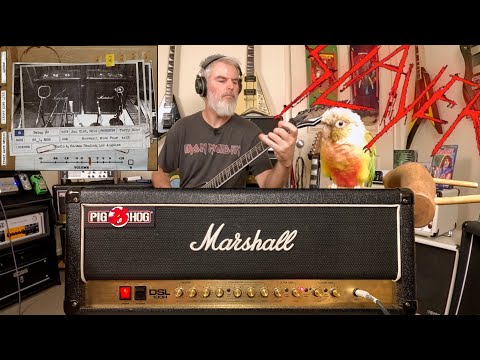 Guitar Tones of Slayer - Marshall DSL100 & Softube Kerry King Amp Bundle